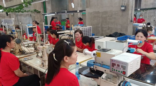 鞋履織就振興路 白沙鎮(zhèn)鞋廠三遷記與家政新風